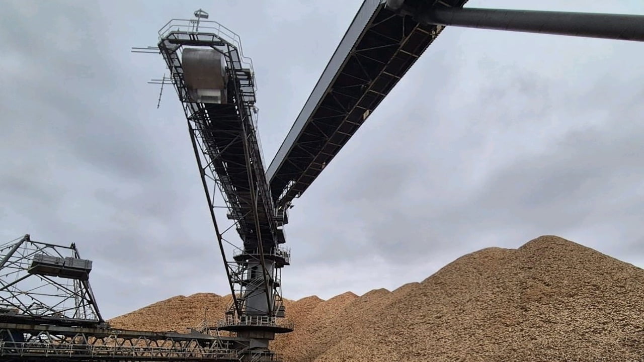 Imagen de WhatsApp 2024-05-30 a las 15.12.49_1ac800b0 2